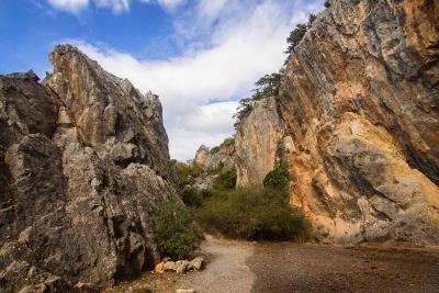 Прикрепленное изображение: _MG_8025и.jpg